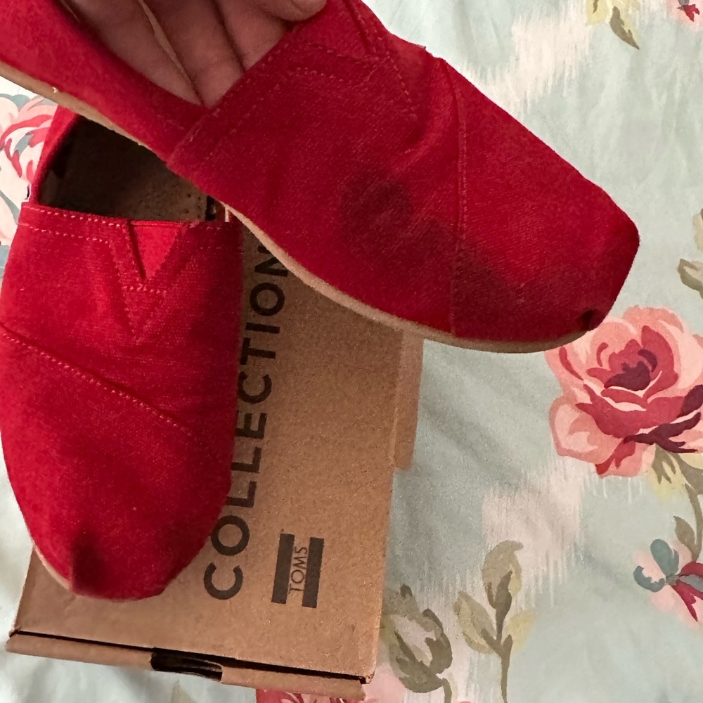 Red Toms - Picture 5 of 8